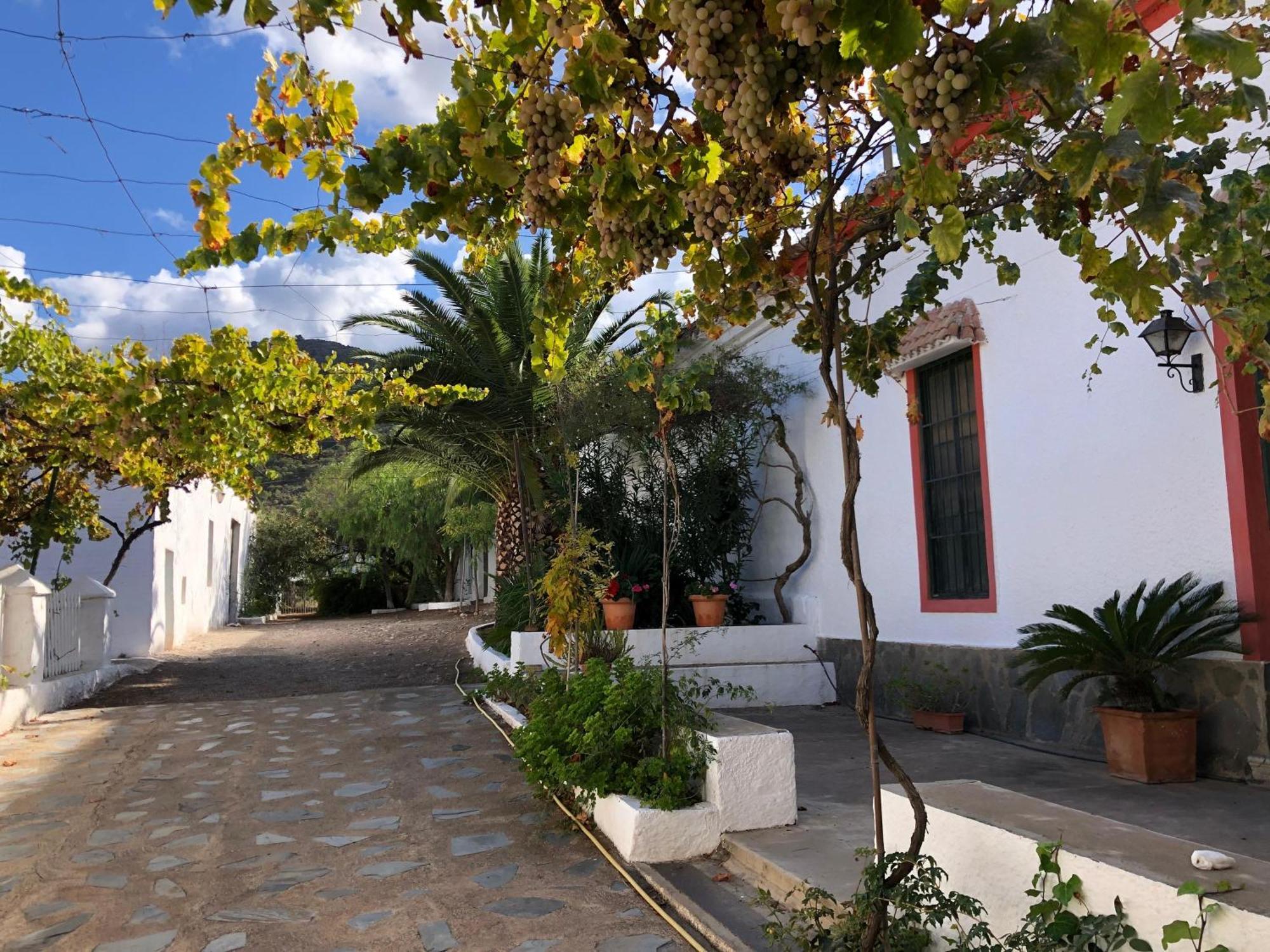 Real Fundicion De Alcora Villa Canjayar Exterior photo